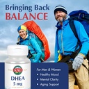 kal-dhea-5-mg-tablets-dhea-5mg-supplemen-3.jpg