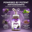 resveratrol-nad-1400mg-trans-resveratrol-4.jpg