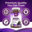 resveratrol-nad-1400mg-trans-resveratrol-3.jpg