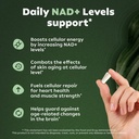 nad-nicotinamide-riboside-with-resveratr-3.jpg