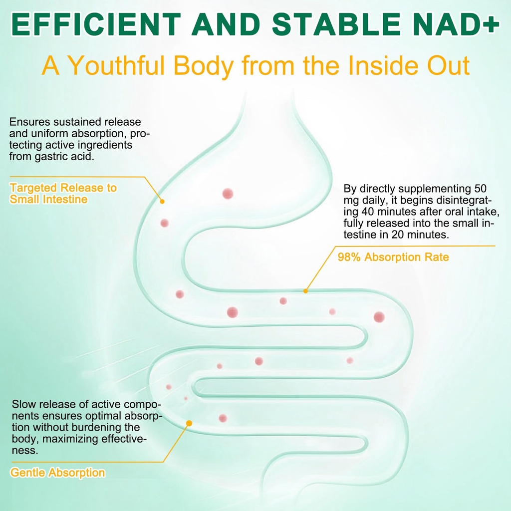 nad-supplement-120-capsules-liposomal-ni-5.jpg
