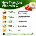 natural-vitamin-c-from-organic-acerola-c-5.jpg