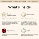promix-nutrition-collagen-beauty-elixir--3.jpg