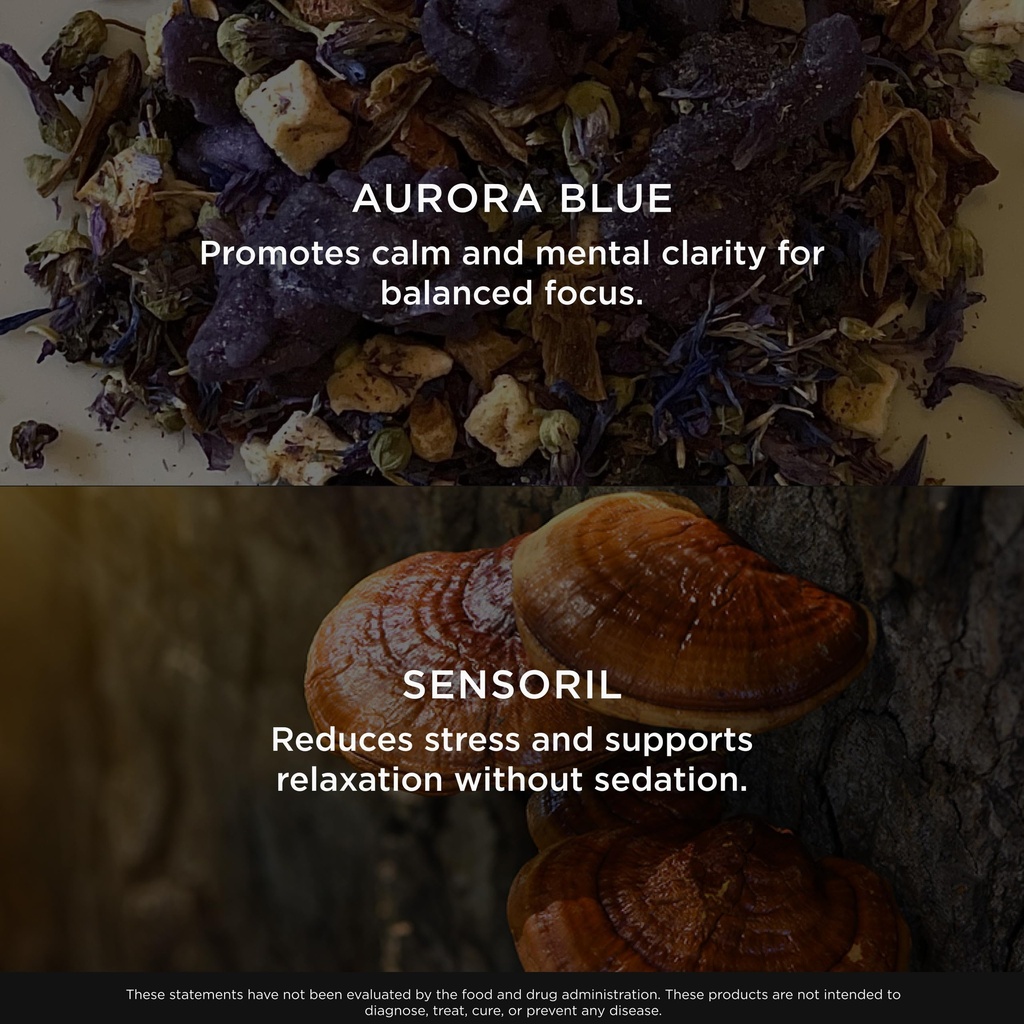 the-genius-brand-genius-mindfulness-brai-5.jpg