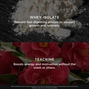 genius-protein-powder-chocolate-dual-pro-5.jpg