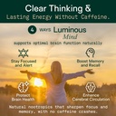 adapt-naturals-luminous-mind-nootropic-b-4.jpg