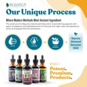 bright-lungs-lung-detox-support-suppleme-4.jpg