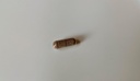 extra-strength-mullein-capsules-10-1-ext-6.jpg