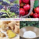 3-pack-smarter-elderberry-capsules-vitam-3.jpg