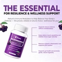 elvera-elderberry-gut-support-120ct-3-in-3.jpg