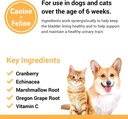 vet-classics-cranberry-comfort-urinary-t-5.jpg