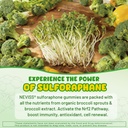 neviss-2p-liposomal-sulforaphane-gummies-4.jpg