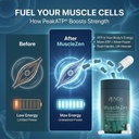 zenos-health-musclezen-muscle-builder-fo-6.jpg