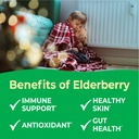 kids-elderberry-vitamin-c-and-zinc-great-3.jpg