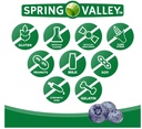 spring-valley-elderberry-gummies-kids-wi-2.jpg