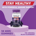 sambucol-black-elderberry-gummies-for-ki-5.jpg