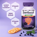 sambucol-black-elderberry-zero-sugar-tri-6.jpg