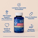 mommy-s-bliss-postnatal-lactation-suppor-3.jpg
