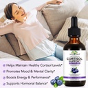 nifeishi-cortisol-reducer-manager-liquid-5.jpg