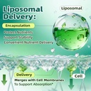liposomal-lymphatic-drainage-drops-4-fl--4.jpg