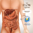dr-clark-store-intestine-support-cleanse-4.jpg