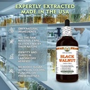 black-walnut-juglans-nigra-dry-hull-glyc-4.jpg