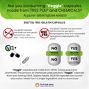 cal-mag-complete-2-1-calcium-magnesium-v-6.jpg