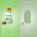 wellvites-kids-multivitamin-gummies-suga-3.jpg