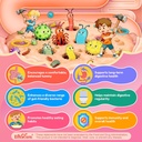 toddler-2-4-kids-4-para-clean-gut-health-4.jpg