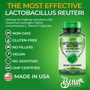 bliva-lactobacillus-reuteri-capsules-l-r-5.jpg
