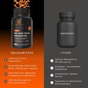 trans-resveratrol-250mg-98-pure-with-bio-3.jpg