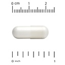 california-gold-nutrition-l-theanine-fea-3.jpg