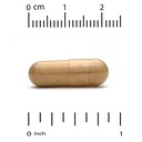 california-gold-nutrition-organic-lion-s-3.jpg