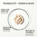 zenium-stress-relief-supplement-supports-3.jpg