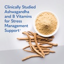 garden-of-life-dr-formulated-multi-stres-4.jpg
