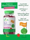 carlyle-elderberry-gummies-for-kids-120--4.jpg