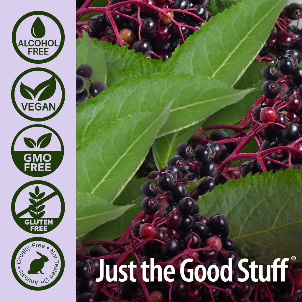 nature-s-answer-kids-sambucus-chewables--6.jpg