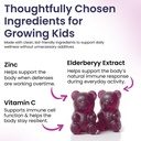 elderberry-gummies-for-kids-3-in-1-elder-6.jpg