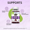 herbion-elderberry-gummies-with-vitamin--5.jpg