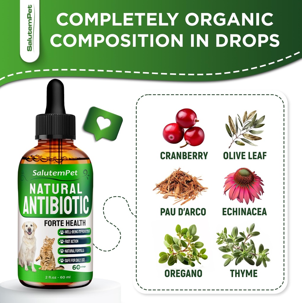 natural-antibiotics-for-dogs-to-help-wit-4.jpg