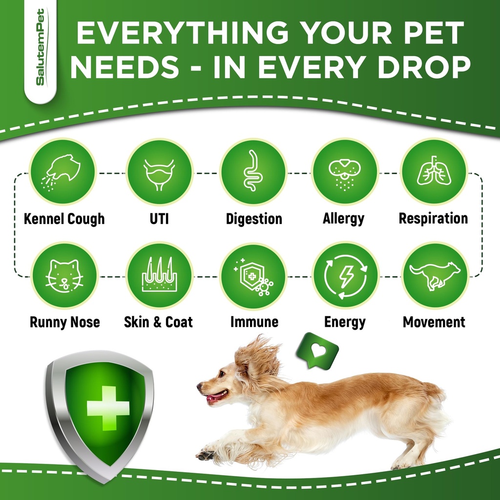 natural-antibiotics-for-dogs-to-help-wit-3.jpg