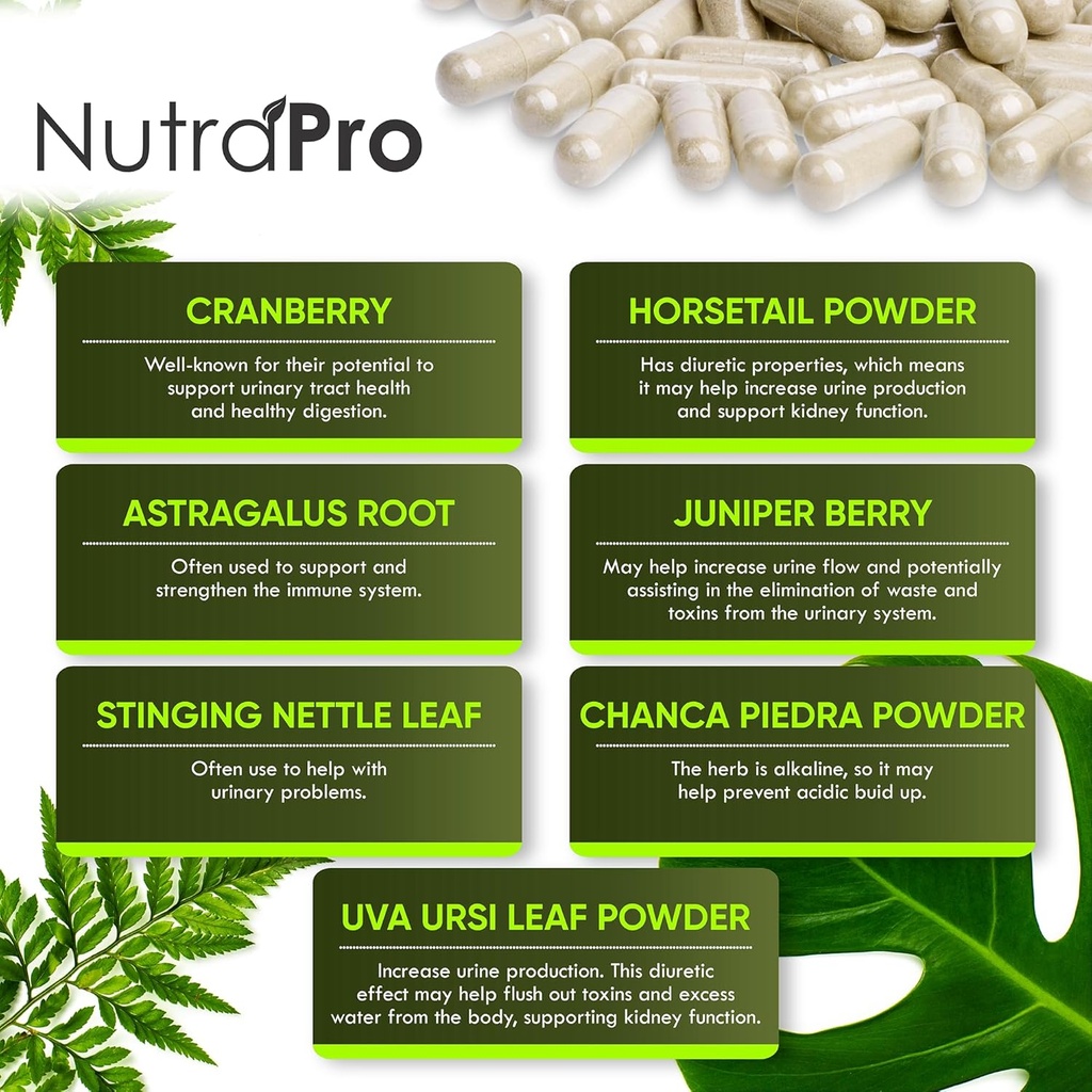 kidney-cleanse-detox-repair-and-bladder--5.jpg