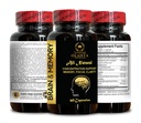 brain-memory-supplement-support-focus-me-4.jpg