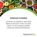 naturesplus-ginkgo-combo-60-capsules-cog-3.jpg