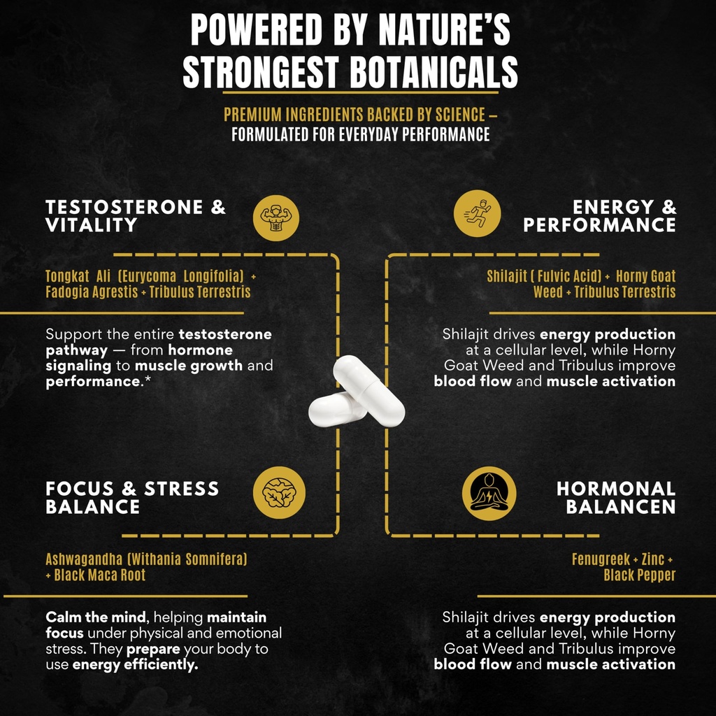 men-s-testosterone-support-10-in-1-horny-3.jpg