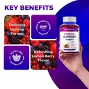 vitamatic-stress-relief-gummies-with-gab-5.jpg