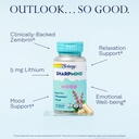 solaray-sharpmind-mood-support-supplemen-3.jpg