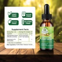 organic-ashwagandha-extract-tincture-ayu-2.jpg