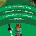 liver-support-milk-thistle-tincture---mi-4.jpg