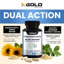 phosphatidylserine-bacopa-monnieri-800-m-4.jpg